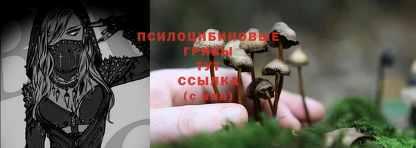 СК Заволжск