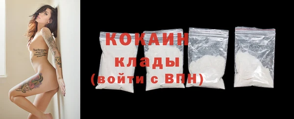 дурь Инсар