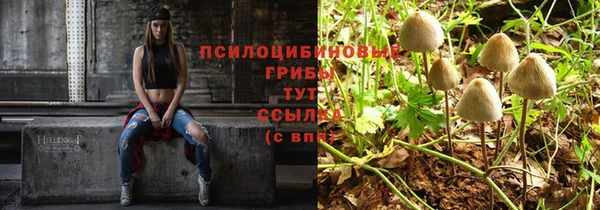 не бодяженный Алексин