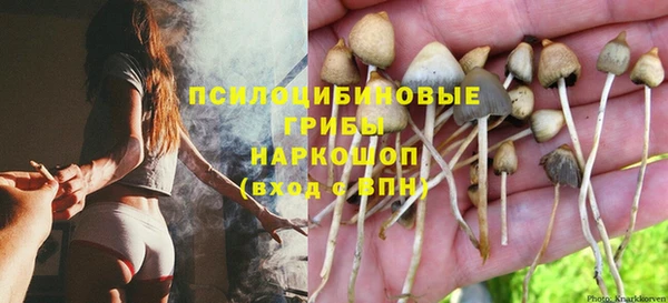 таблы Иннополис